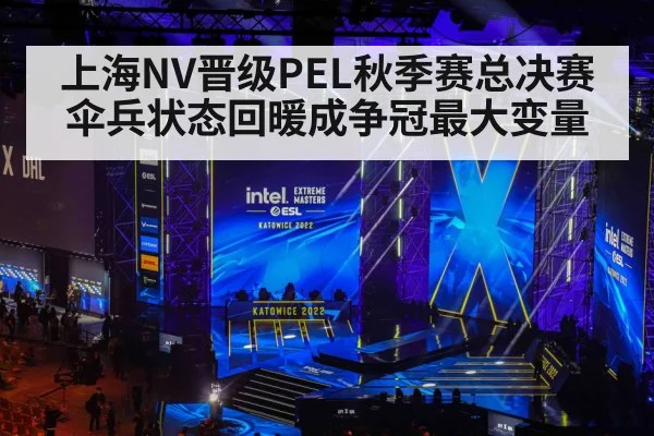 上海NV晋级PEL秋季赛总决赛 伞兵状态回暖成争冠最大变量 | kaiyun sports