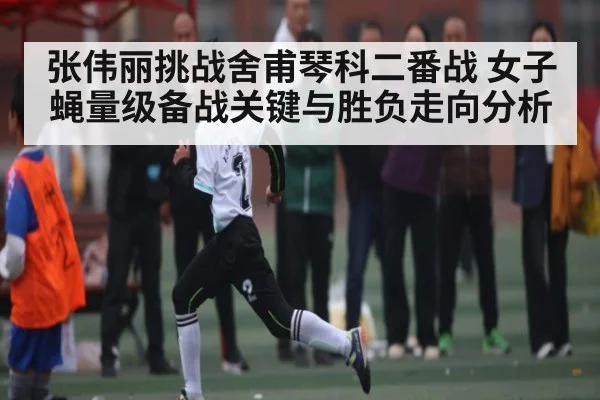 张伟丽挑战舍甫琴科二番战 女子蝇量级备战关键与胜负走向分析 | kaiyun sports